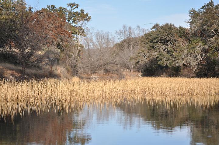 Lower Dam 2010