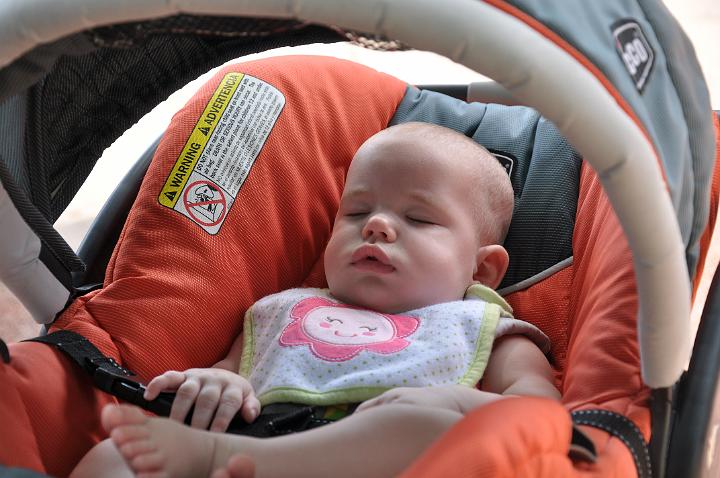 Audrey sleeping through her 1st trip to the zoo