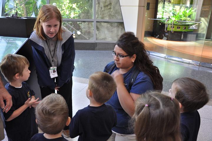 Butterfly Exhibit