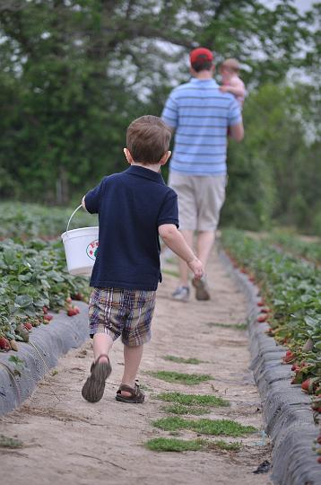 Froberg's Farm