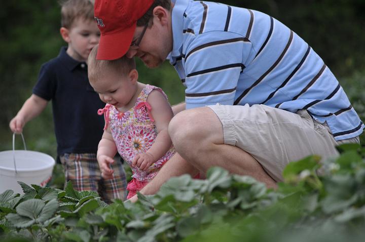 Froberg's Farm