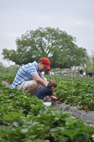 Froberg's Farm