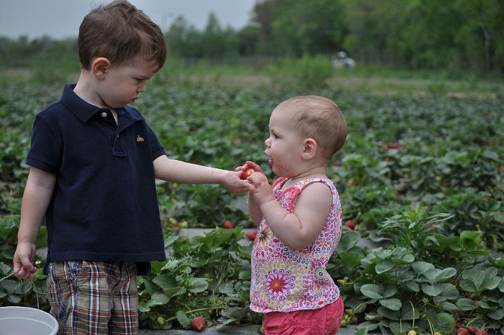 Froberg's Farm