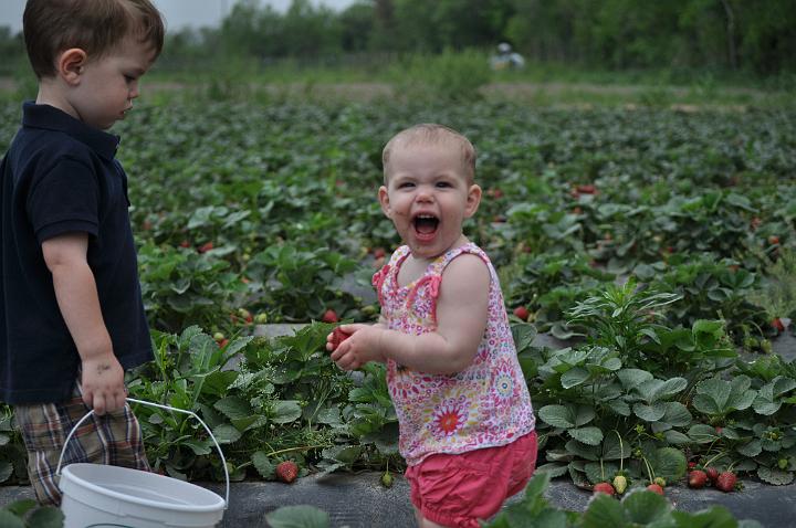 Froberg's Farm