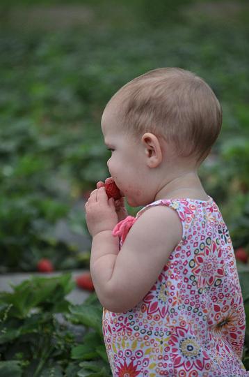 Froberg's Farm